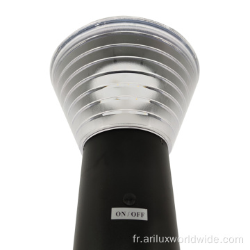 Lumière solaire extérieure imperméable à l&#39;eau de jardin solaire 3w